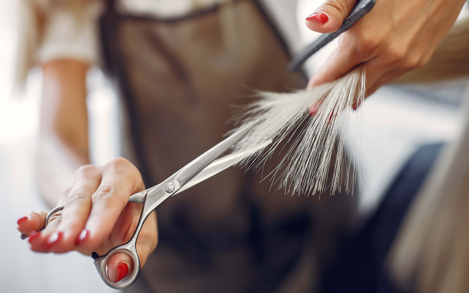 Peluquería a domicilio